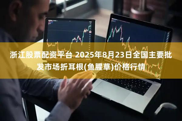 浙江股票配资平台 2025年8月23日全国主要批发市场折耳根(鱼腥草)价格行情